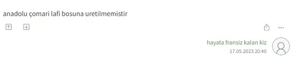 CHP’ye destek veren Ekşi Sözlük’te şehitlere ağır küfürler! Depremzedelerin ardından sırada şehit aileleri ve Anadolu insanı var...