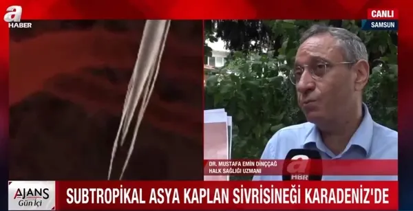 Karadeniz için Asya Kaplan Sivrisineği uyarısı