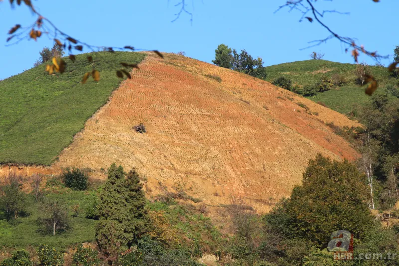 Tarladaki ürünleri tek tek söküyorlar! Uzman isim uyardı: Sıkıntı yaşarız 12