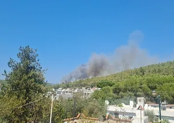 Bodrum'da ormanlık alanda yangın! Alevler kontrol altında