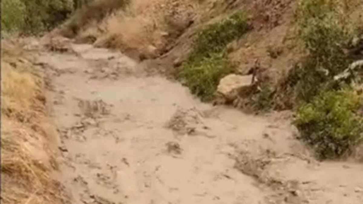 Elazığ'da sağanak yağış sele neden oldu!