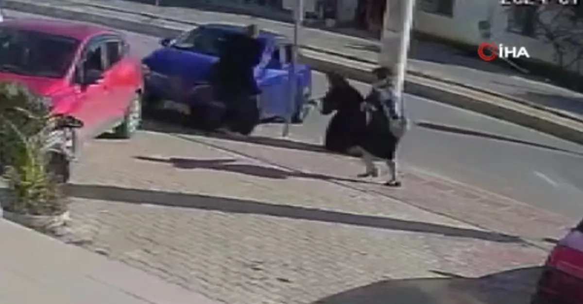 Antalya Kepez'de korkunç kaza! Metrelerce savrulan evli çift hayatını kaybetti