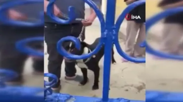 kartalda-keciyi-telef-eden-pitbull-kopegi-yakalandi-sahibine-cezai-islem-yapildi-1651755486891.jpg Kartal’da keçiyi telef eden pitbull köpeği yakalandı! Sahibine cezai işlem yapıldı - 1