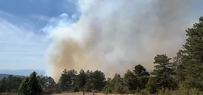 Bursa’da orman yangını! Ekiplerin canhıraş müdahalesi ile alevler kontrol altında