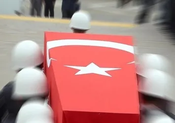 Şırnak'ta terör operasyonu: 1 şehit