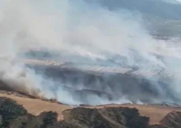 Turgutlu’da makilik alanda yangın: 2 ev zarar gördü