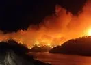 Adana’da orman yangını! AK Parti’den açıklama