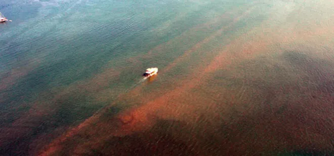 Fethiye Körfezine 15 yıl ömür biçildi