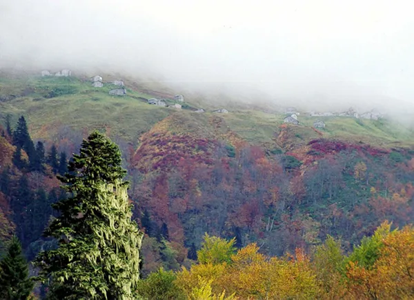 Kaçkar Dağları eriyor! Dağcılar çıkamaz oldu