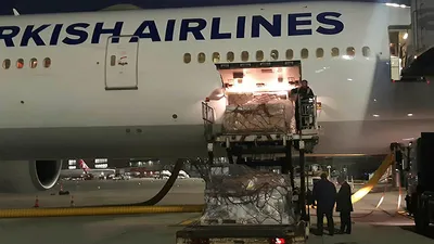 Yurt dışına kaçırılmıştı! Türkiye’ye getirildi