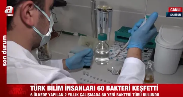 Türk bilim insanları 60 bakteri keşfetti - 4