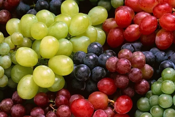 Muhakkak çekirdeğiyle tüketin! Bin derdin şifası üzüm çekirdeğinin faydaları