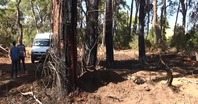 Antalya'da ormanı yakarken yakalanmıştı! Savunması çileden çıkardı