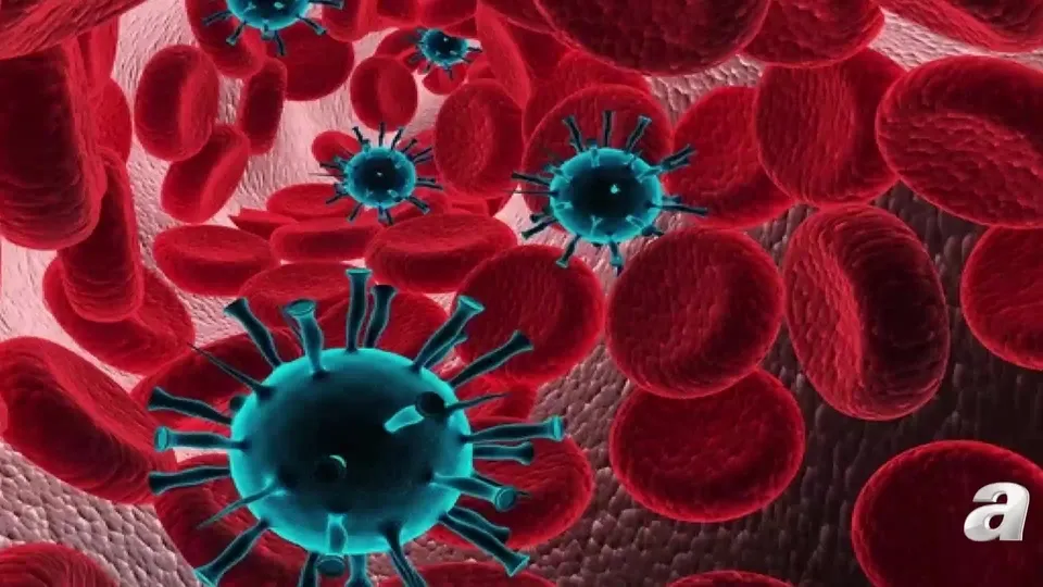 Covid-19 nedir hayatımıza ne zaman girdi!