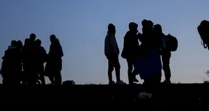 Edirne’de 7 düzensiz göçmen yakalandı