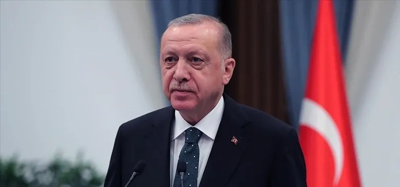 Son dakika: Başkan Erdoğan "Filenin Efeleri"ni tebrik etti