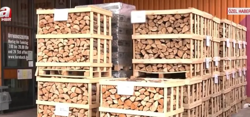 Almanya’da odun hırsızlığı! Çalınmaması için odunlara GPS takıldı