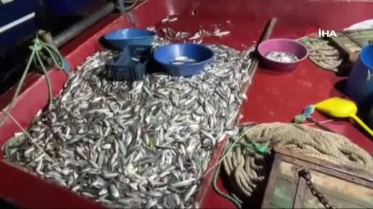 İstanbul Boğazı’nda yasa dışı avcılık yapanlar suçüstü yakalandı