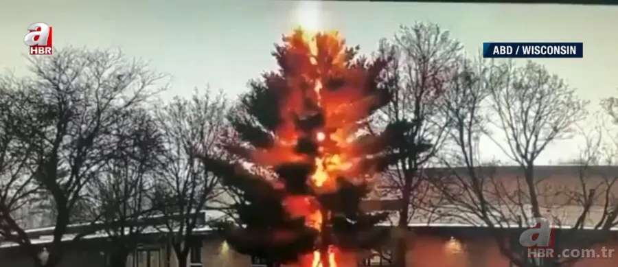 Lise bahçesindeki ağaca yıldırım düştü! 6 metrelik ağaç ortadan ikiye ayrıldı 3