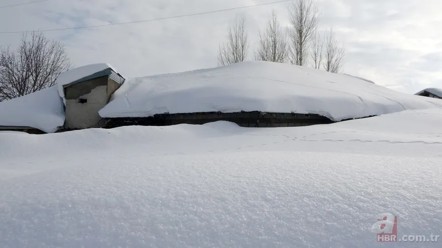 Muş’ta bir köy kara esir oldu! Herkes elinde kürekle geziyor: 100 metre Bolu tüneli gibi tünel açtık 8