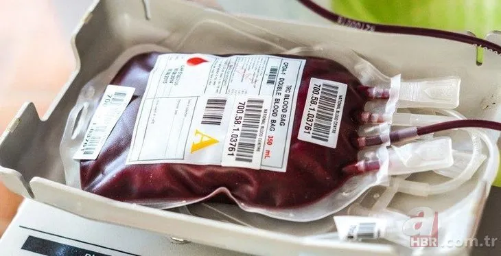 Hangi kan grubu nasıl beslenmeli? İşte kan grubunuza göre tüketmeniz gereken besinler...