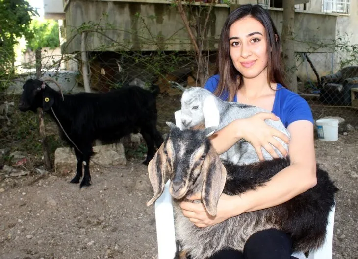 Kurban Bayramı’nda kesmek için aldı... Sabah görünce şoke oldular! Milyonda bir görülen...