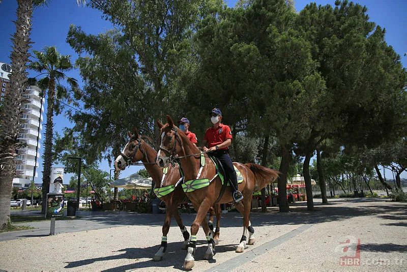 SON DAKİKA | Bugün yasak var mı? 1 Aralık Salı sokağa çıkma yasağı ne zaman, saat kaçta başlıyor? 12
