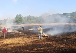 Bilecik'te tarım arazisi yangını!