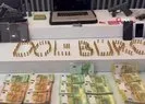17 ilde 17 dolandırıcılık şebekesine darbe