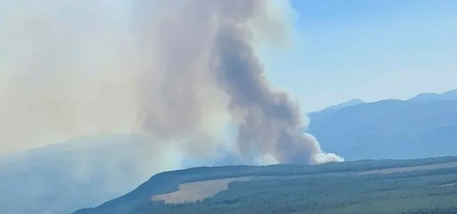 Denizli-Muğla sınırında korkutan orman yangını! Rüzgarın etkisiyle yayıldı