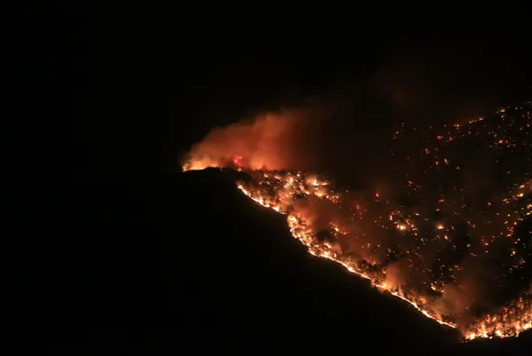 Son dakika | Antalya'da bir orman yangını daha! - 5