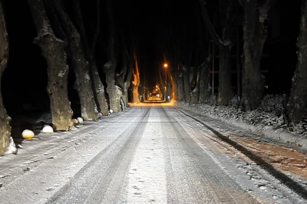 168 yıl sonra bir ilk! Meteoroloji'den kar uyarısı! İstanbul'a kar yağacak mı? İşte kar yağacak iller! Hangi illere kar yağacak? - 8