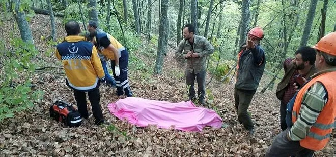 Bursa’da acı olay! Kestiği ağacın altında kalan yaşlı adam öldü