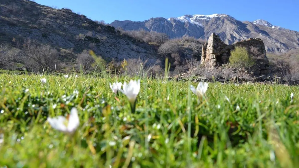 Kış şartlarının devam ettiği Şırnak'ta çiçekler açtı