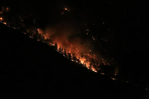 Son dakika | Antalya'da bir orman yangını daha! - 6