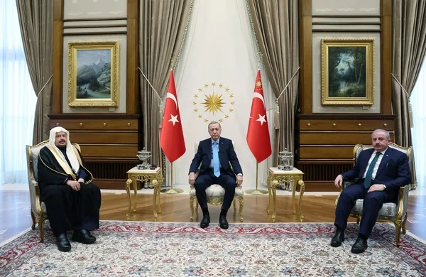 Başkan Erdoğan Suudi Arabistan Şura Meclisi Başkanı Al Şeyh'i kabul etti - 2