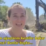 CHPli belediyeden İzmir Karaburunda ağlatan doğa katliamı! Genç kız gözyaşları içinde izledi