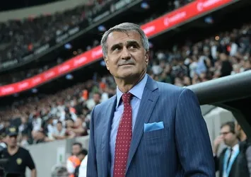 Şenol Güneş: Görüşünüze saygılıyım ama hesap soruyorsunuz