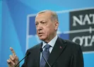Nerede bu Freedom House?