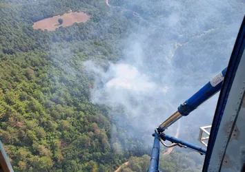 Son dakika: Balıkesir'de orman yangını