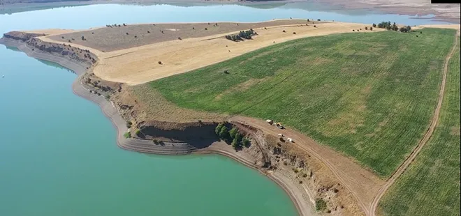 Adayı 8 milyon liraya satışa koydu!