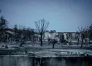Fransadan Türkiyeye teşekkür
