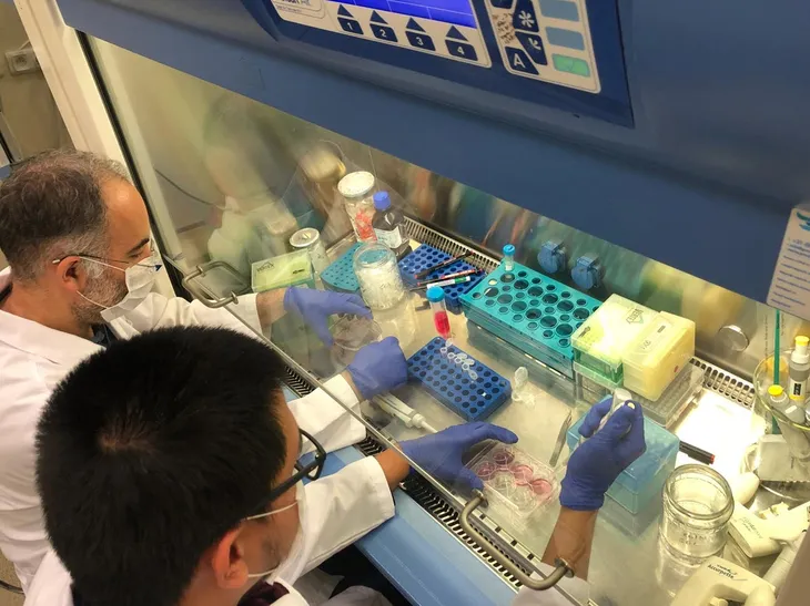 1585642523951.jpg Türk bilim insanları coronavirüse karşı çalışıyor - 1