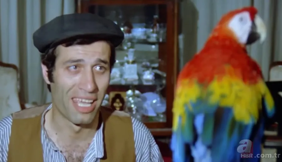 Kemal Sunal'ın filmideki papağan Ziya'yı bakın kim seslendirmiş! 1