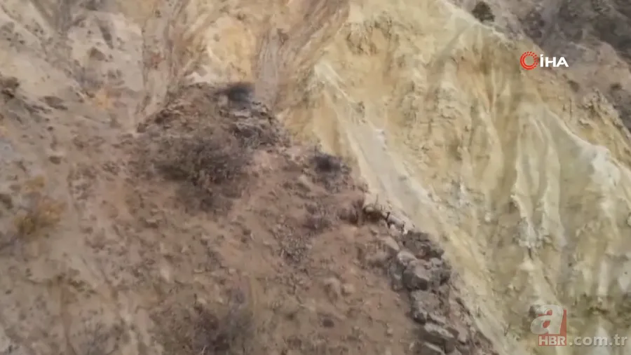 O ilimizde sürü halinde ortaya çıktılar! Karlı dağları aşarak… 22