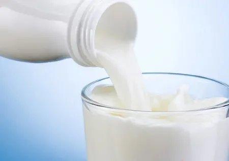 Günde 1 bardak içmek bile yeterli oluyor!