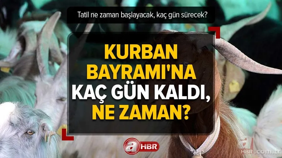 Kurban Bayramı'na kaç gün kaldı, ne zaman? 2023 Kurban Bayramı tatili hangi tarihte başlayacak, kaç gün sürecek? 1