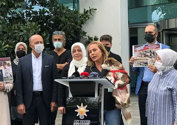 AK Parti'den CHP'li İBB'ye sert tepki! Ölen köpeğin vebali...