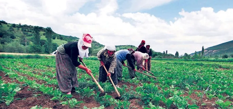 Evde-tarlada çalışan kadına sosyal koruma