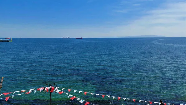 Marmara Denizi için müsilaj mesajı! - 1